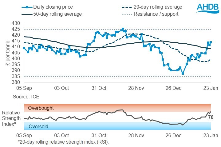Graph of Paris rapeseed futures in £/t over the six months to 23 January 2026